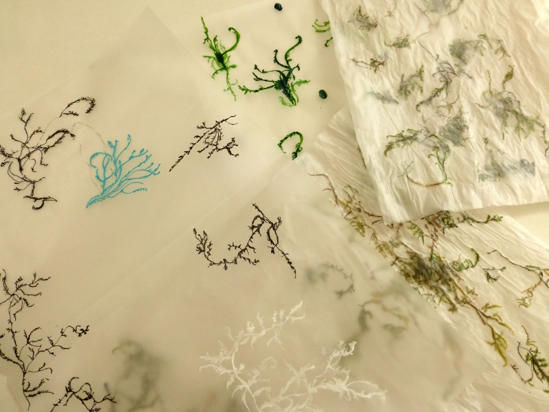 moss on tracing paper (work in progress) - Ines Seidel