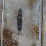 feather. drawing on cloth. Ines Seidel.