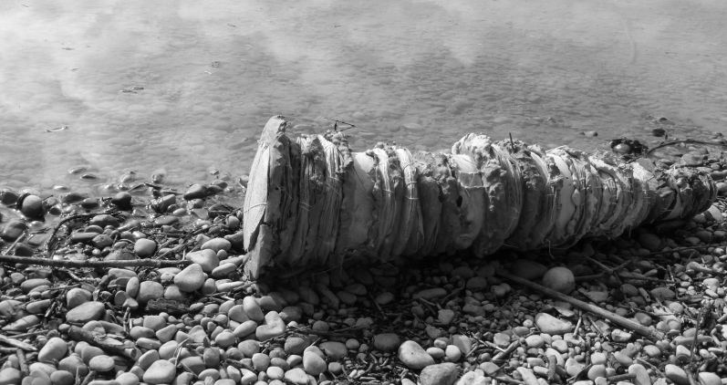 old stories, rolled ashore. Ines Seidel