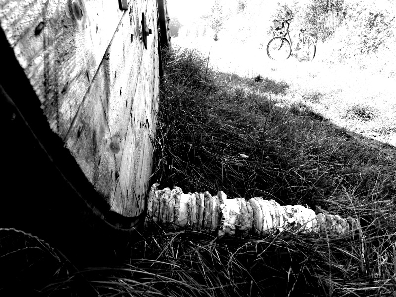 old stories, rolled aside (farm track with cable reel). Ines Seidel