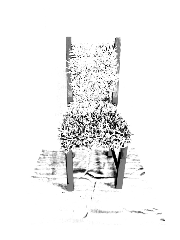 throne. digital photography with chair and crocheted story. Ines Seidel.